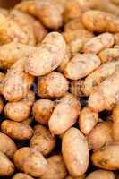 group of potatoes macro closeup market outdoor