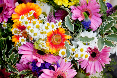 beautiful colorful collection of flowers spring summer celebration