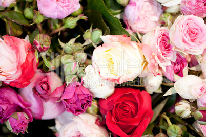 beautiful colorful collection of flowers spring summer celebration