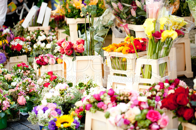 beautiful colorful collection of flowers spring summer celebration