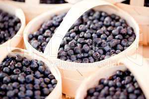 healthy fresh blueberries macro closeup on market outdoor