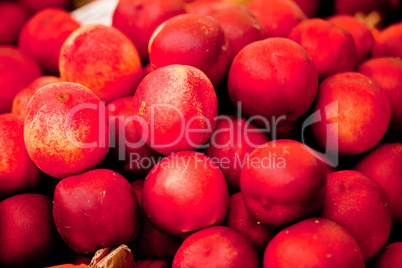 fresh orange red apricots peaches macro closeup on market