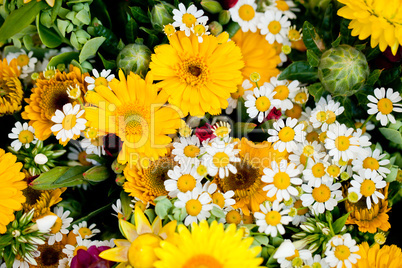 beautiful colorful collection of flowers spring summer celebration