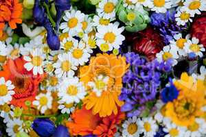 beautiful colorful collection of flowers spring summer celebration