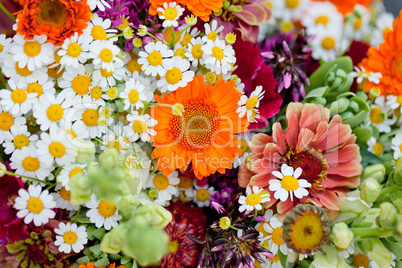 beautiful colorful collection of flowers spring summer celebration