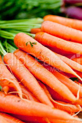 fresh orange carrots on market in summer