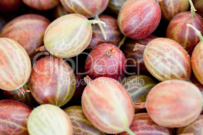 fresh tasty gooseberries macro closeup on market outdoor