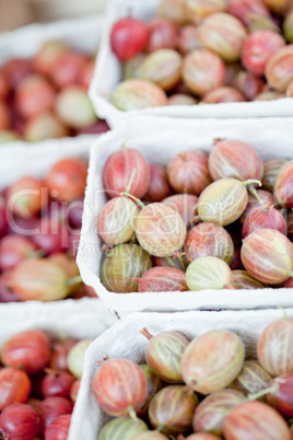 fresh tasty gooseberries macro closeup on market outdoor