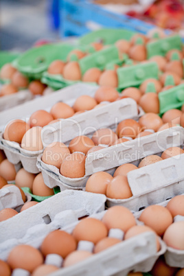 group of eggs in carton box closeup market outdoor