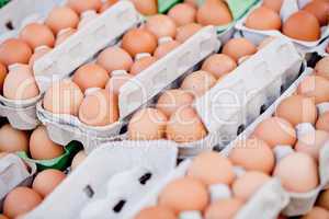 group of eggs in carton box closeup market outdoor