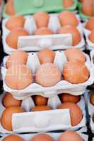 group of eggs in carton box closeup market outdoor