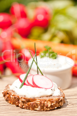 fresh tasty homemade cream cheese and herbs with bread