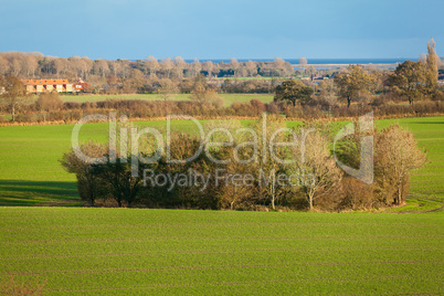 beautiful landscape of green farmland and blue sky