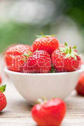 fresh tasty sweet strawberries macro closeup garden outdoor