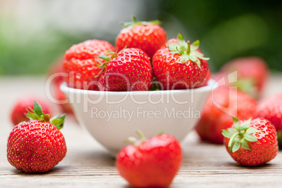 fresh tasty sweet strawberries macro closeup garden outdoor