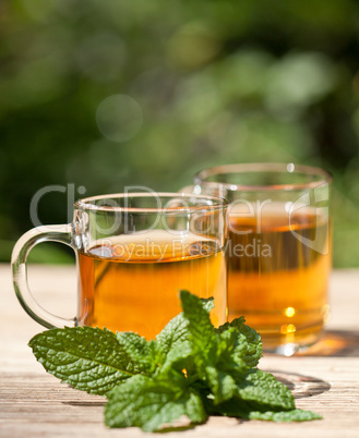 herbal peppermint tea closeup macro outdoor summer