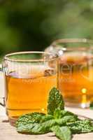 herbal peppermint tea closeup macro outdoor summer