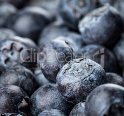 Blueberries background