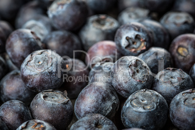 Blueberries background