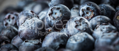 Blueberries background