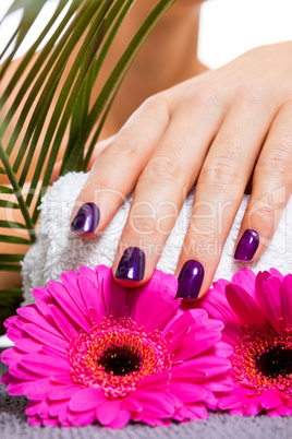 Woman with beautiful manicured purple nails