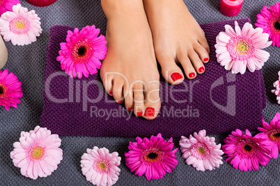 Bare feet of a woman surrounded by flowers