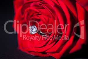 Diamond engagement ring in the heart of a red rose