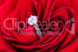 Diamond engagement ring in the heart of a red rose