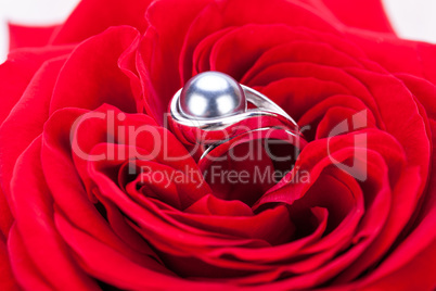 Diamond engagement ring in the heart of a red rose