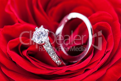 Diamond engagement ring in the heart of a red rose