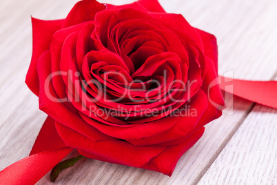 Bouquet of red roses with ribbon border