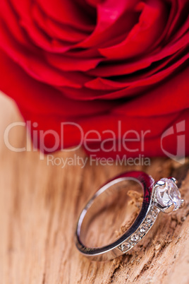 beautiful ring on wooden background and red rose