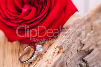 beautiful ring on wooden background and red rose