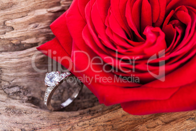 beautiful ring on wooden background and red rose