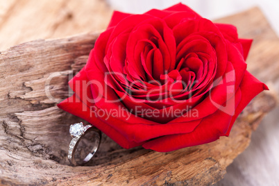 beautiful ring on wooden background and red rose