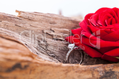 beautiful ring on wooden background and red rose