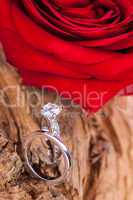beautiful ring on wooden background and red rose