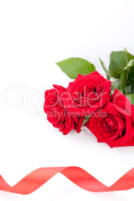 Bouquet of red roses with ribbon border