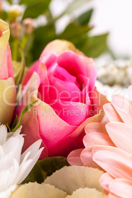 Bouquet of fresh pink and white flowers