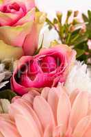 Bouquet of fresh pink and white flowers