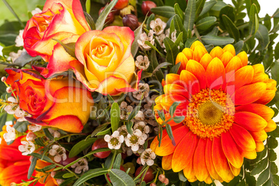 Vivid orange gerbera daisy in a bouquet