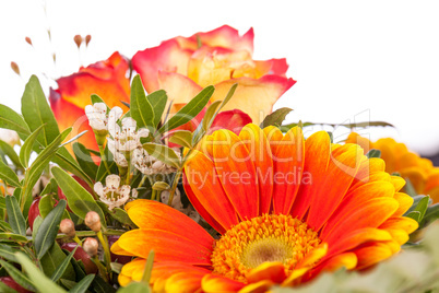 Vivid orange gerbera daisy in a bouquet