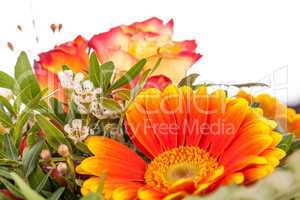 Vivid orange gerbera daisy in a bouquet