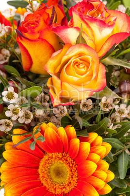 Background of vivid orange roses