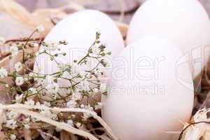 Plain undecorated Easter eggs in a nest