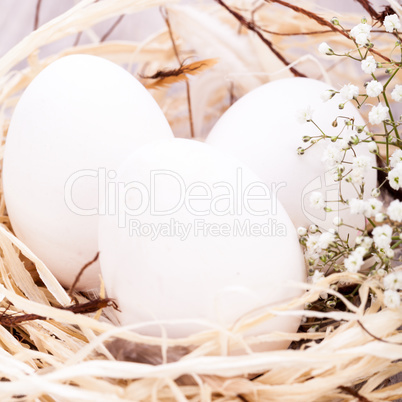 Plain undecorated Easter eggs in a nest