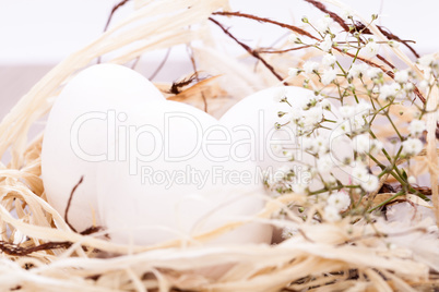 Plain undecorated Easter eggs in a nest