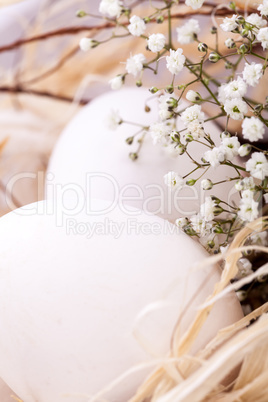 Plain undecorated Easter eggs in a nest