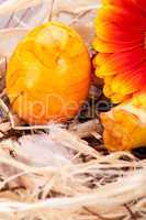 Vivid orange Easter egg with a gerbera and rose