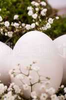 Plain undecorated Easter eggs in a nest